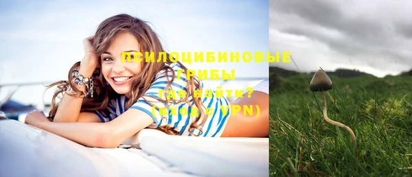 кокаин Дмитриев