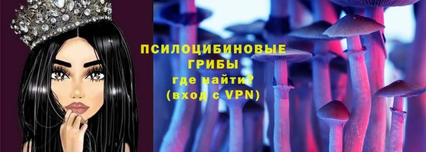 ГАЛЛЮЦИНОГЕННЫЕ ГРИБЫ Дмитровск