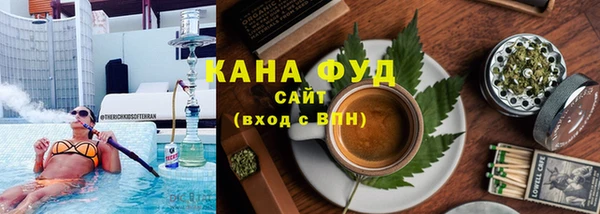 молекула духа Елабуга