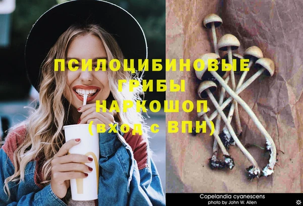 ГАЛЛЮЦИНОГЕННЫЕ ГРИБЫ Дмитровск