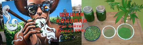 ГАЛЛЮЦИНОГЕННЫЕ ГРИБЫ Дмитровск