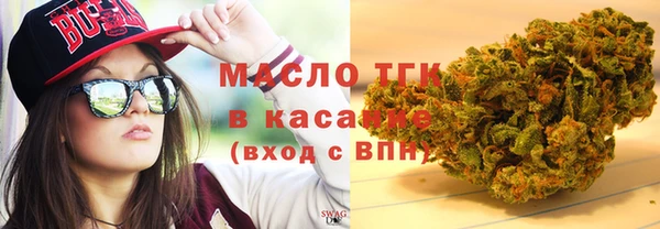 молекула духа Елабуга