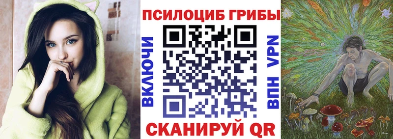 Галлюциногенные грибы прущие грибы  Купить  Калининск 